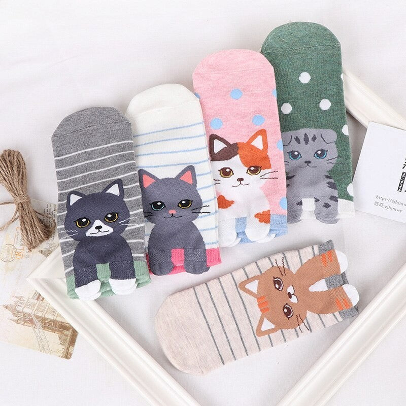 Anysox 5 Pairs One Size 5-9 Rainbow Color Kitten Spring Summer Fashion Women Cotton Socks Cartoon Cute Girl Happy Funny Socks-Socks-PEROZ Accessories
