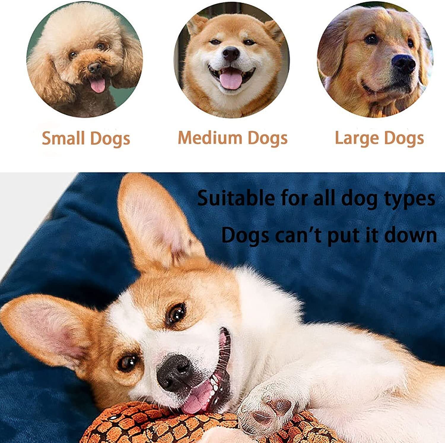 AnyWags Dog Toy Khaki Dinosaur Squeaky Plush Interactive Chew Boredom Buster Stuffing Pet Supplies-Pet Toys-PEROZ Accessories