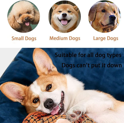 AnyWags Dog Toy Khaki Dinosaur Squeaky Plush Interactive Chew Boredom Buster Stuffing Pet Supplies-Pet Toys-PEROZ Accessories