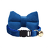 AnyWags Cat Collar Blue Small Bow with Safety Buckle, Bell, and Durable Strap Stylish and Comfortable Pet Accessory-Cat Supplies-PEROZ Accessories
