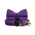 AnyWags Cat Collar Violet Large with Safety Buckle, Bell, and Durable Strap Stylish and Comfortable Pet Accessory-Cat Supplies-PEROZ Accessories