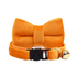 AnyWags Cat Collar Sunset Orange Bow Large with Safety Buckle, Bell, and Durable Strap Stylish and Comfortable Pet Accessory-Cat Supplies-PEROZ Accessories