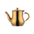 AnyGleam Teapot Gold Stainless Steel with Filter for Coffee, Tea, Oil and Liquid Seasonings Container Kettle-Teapot-PEROZ Accessories
