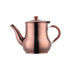 AnyGleam Teapot Rose Gold Stainless Steel with Filter for Coffee, Tea, Oil and Liquid Seasonings Container Kettle-Teapot-PEROZ Accessories