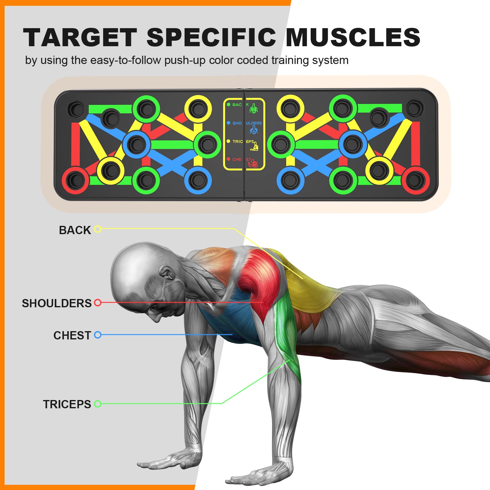Anyfit Push Up Board With Rope 14 In 1 Push-Up Stands Portable Multifunction Foldable Workout Home Gym Equipment-Exercise &amp; Fitness-PEROZ Accessories