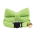 AnyWags Cat Collar Neon Bow Small with Safety Buckle, Bell, and Durable Strap Stylish and Comfortable Pet Accessor-Cat Supplies-PEROZ Accessories