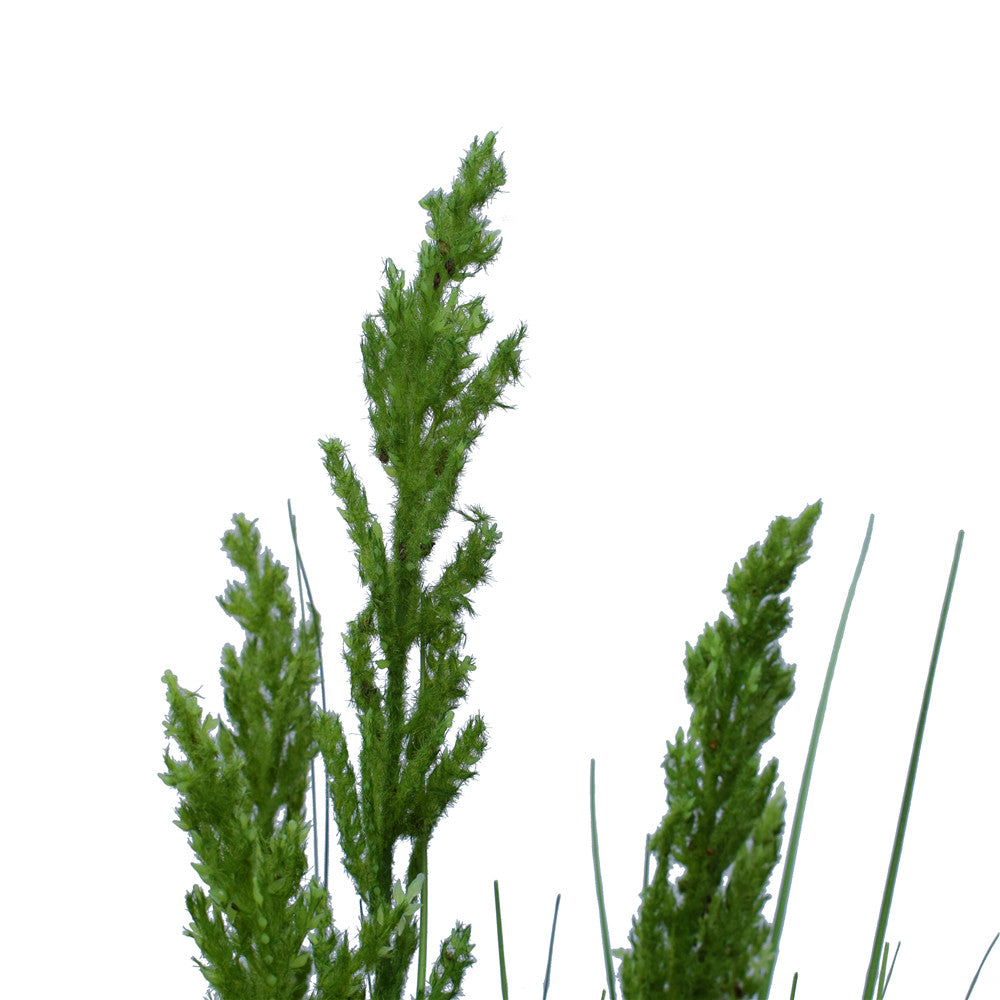 Flowering Native Grass 120 cm-Home &amp; Garden &gt; Artificial Plants-PEROZ Accessories
