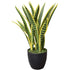 Artificial (faux) Mother in Law Tongue / Yellow Tongue UV Resistant 60CM-Home & Garden > Artificial Plants-PEROZ Accessories