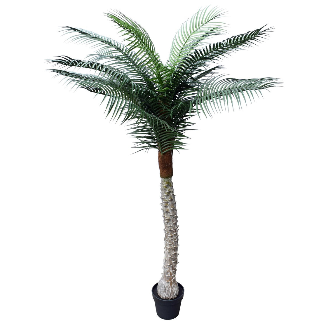 Tropical Phoenix Palm Tree 170cm UV Resistant-Home &amp; Garden &gt; Artificial Plants-PEROZ Accessories