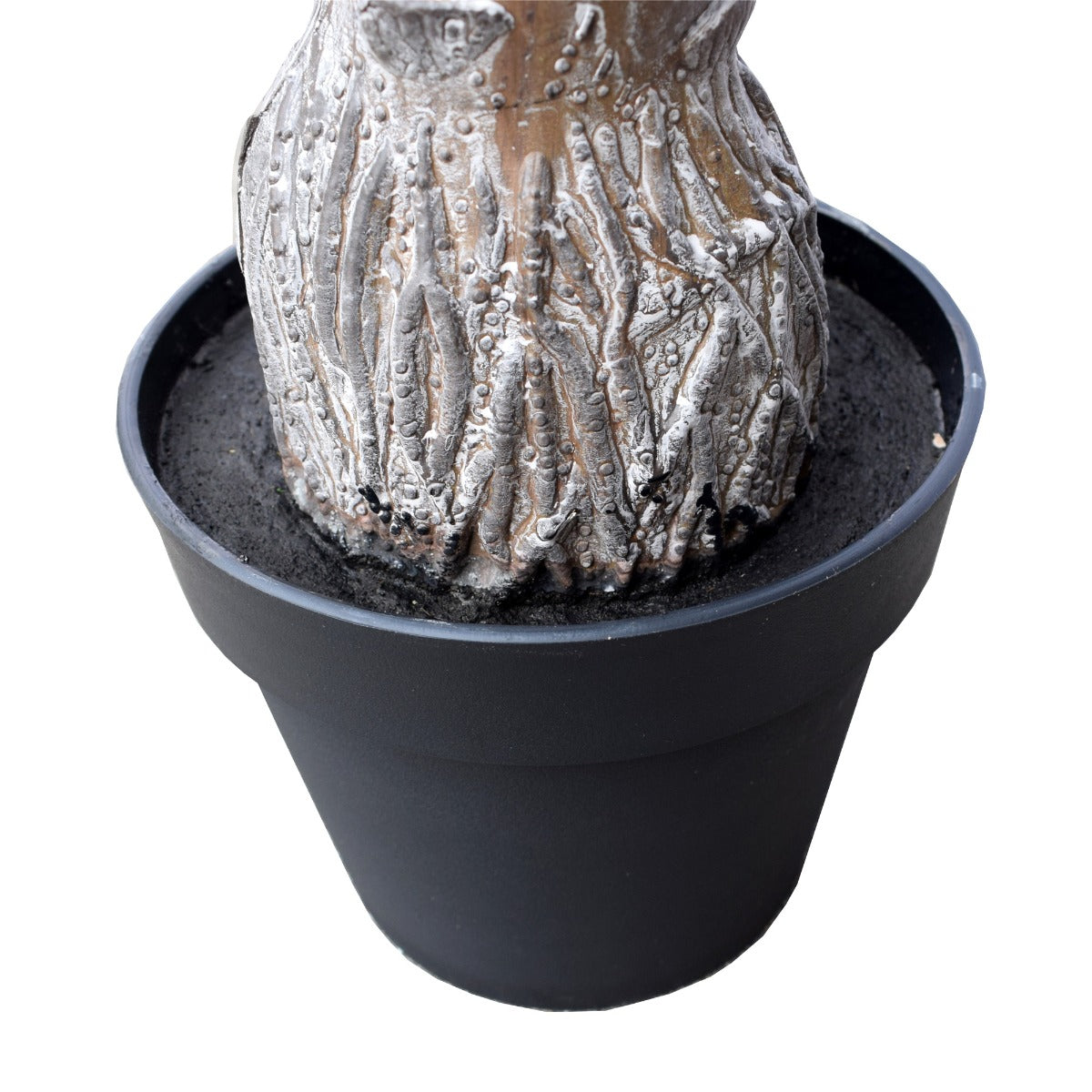 Tropical Phoenix Palm Tree 170cm UV Resistant-Home &amp; Garden &gt; Artificial Plants-PEROZ Accessories