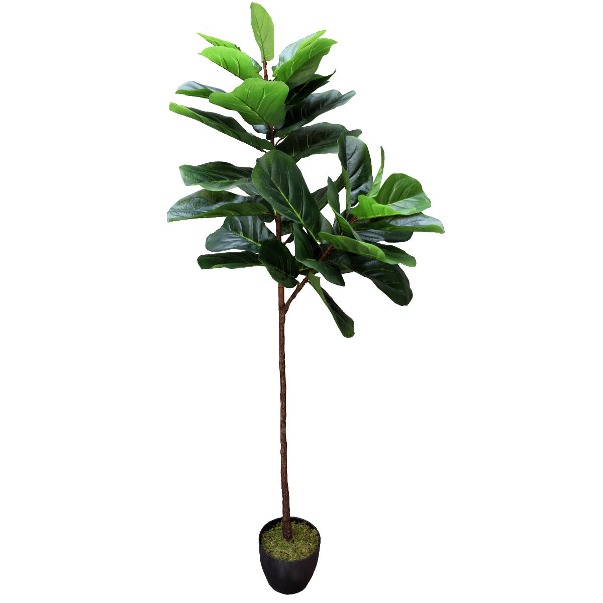 Tall Artificial Fiddle Leaf Fig 170cm-Home &amp; Garden &gt; Artificial Plants-PEROZ Accessories