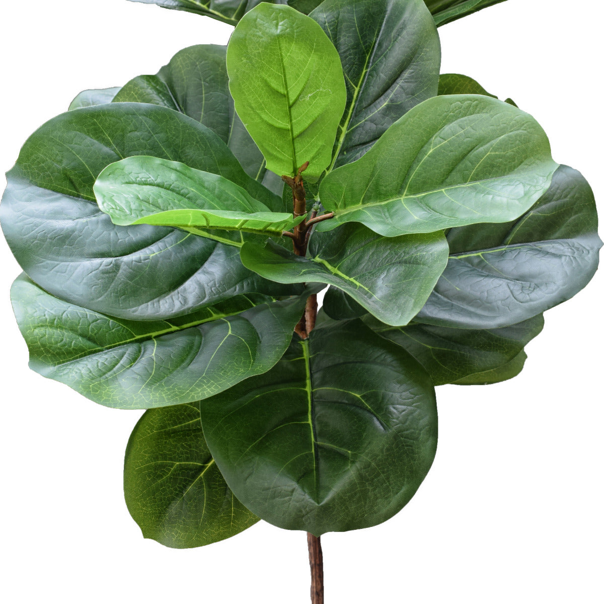 Tall Artificial Fiddle Leaf Fig 170cm-Home &amp; Garden &gt; Artificial Plants-PEROZ Accessories