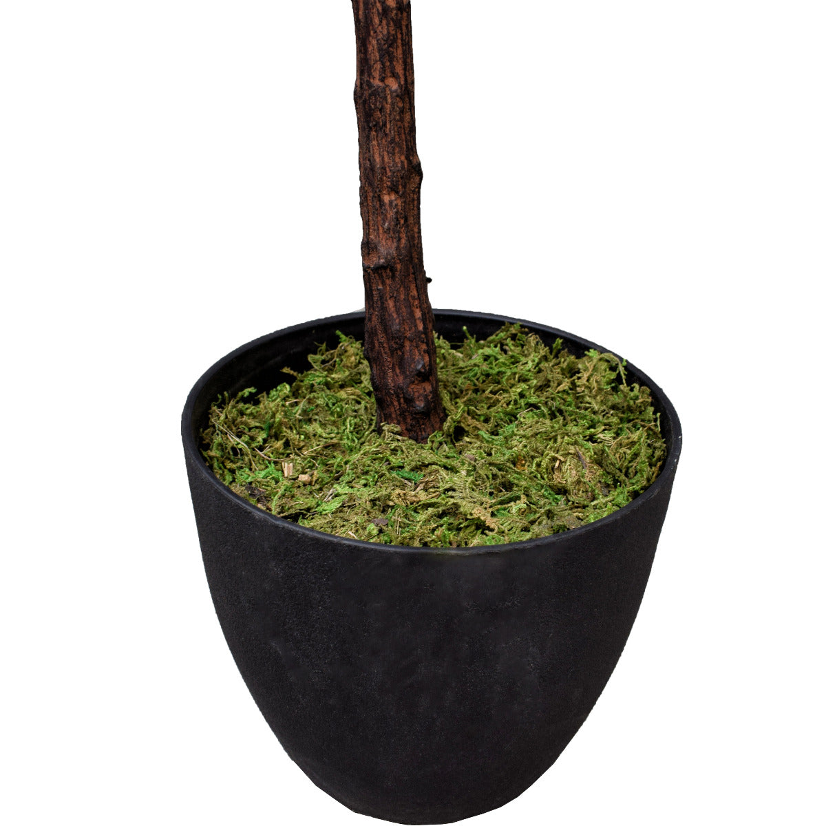 Tall Artificial Fiddle Leaf Fig 170cm-Home &amp; Garden &gt; Artificial Plants-PEROZ Accessories