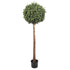 Single Ball Topiary Faux Tree 150cm UV Resistant-Home & Garden > Artificial Plants-PEROZ Accessories