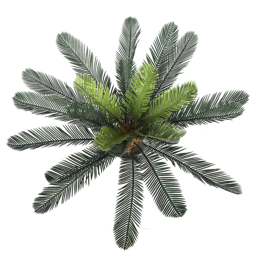 Artificial Cyac (Cycad) Plant 60cm-Home &amp; Garden &gt; Artificial Plants-PEROZ Accessories