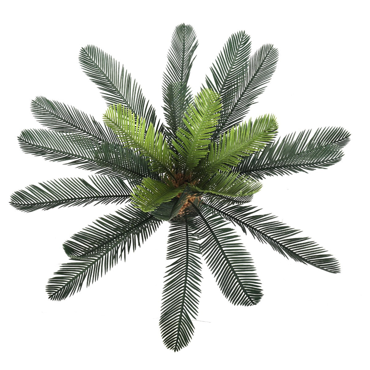 Artificial Cyac (Cycad) Plant 60cm-Home &amp; Garden &gt; Artificial Plants-PEROZ Accessories
