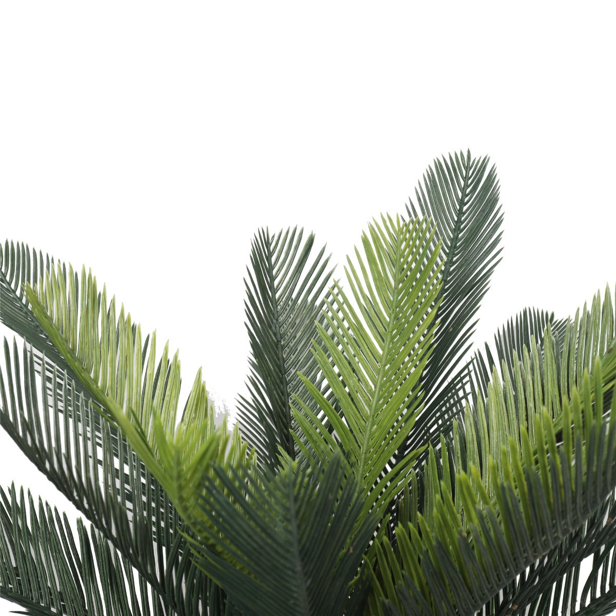 Artificial Cyac (Cycad) Plant 60cm-Home &amp; Garden &gt; Artificial Plants-PEROZ Accessories