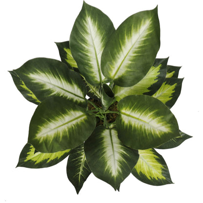 Leopard Lily (Dieffenbachia) with Pot 40cm-Home &amp; Garden &gt; Artificial Plants-PEROZ Accessories