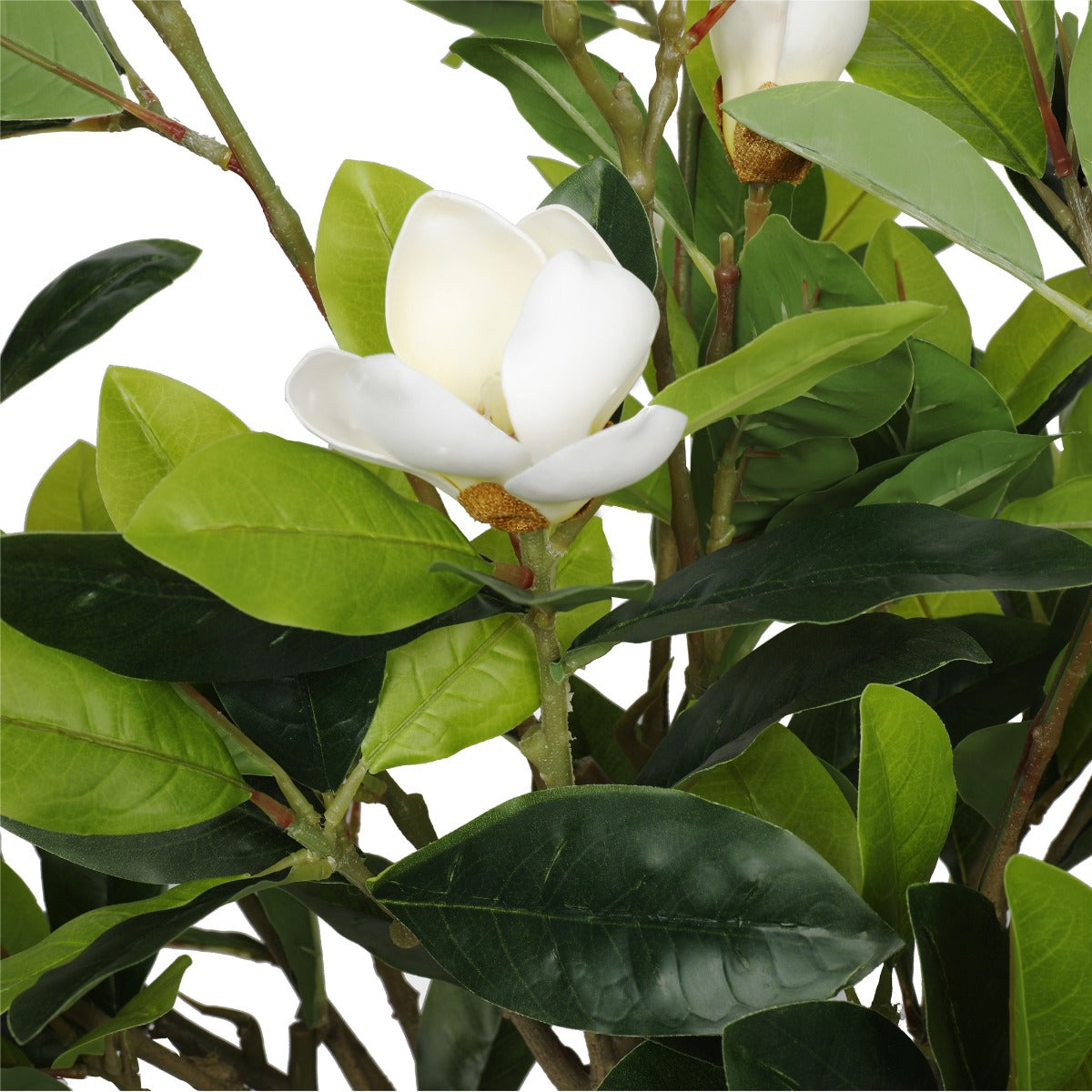 Faux White Flowering Magnolia Tree with Pot 130cm-Home &amp; Garden &gt; Artificial Plants-PEROZ Accessories