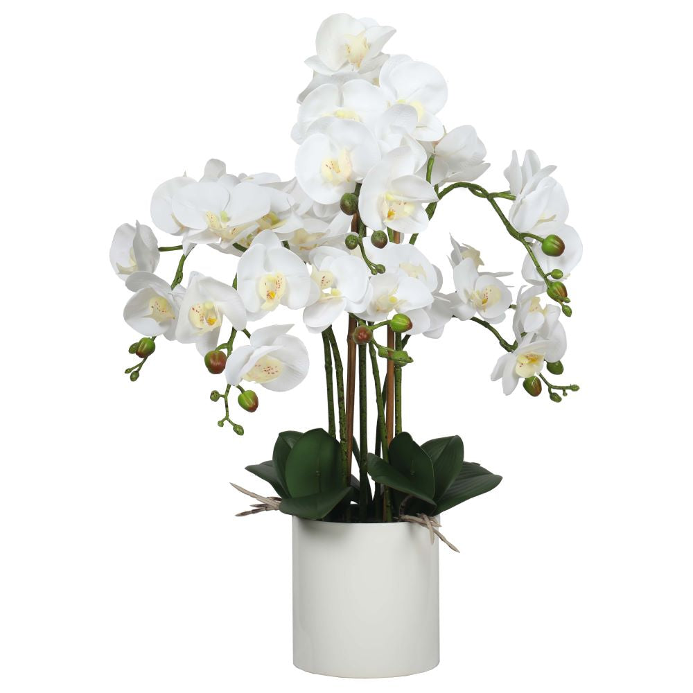 Large Multi-Stem White Potted Faux Orchid 65cm-Home &amp; Garden &gt; Artificial Plants-PEROZ Accessories