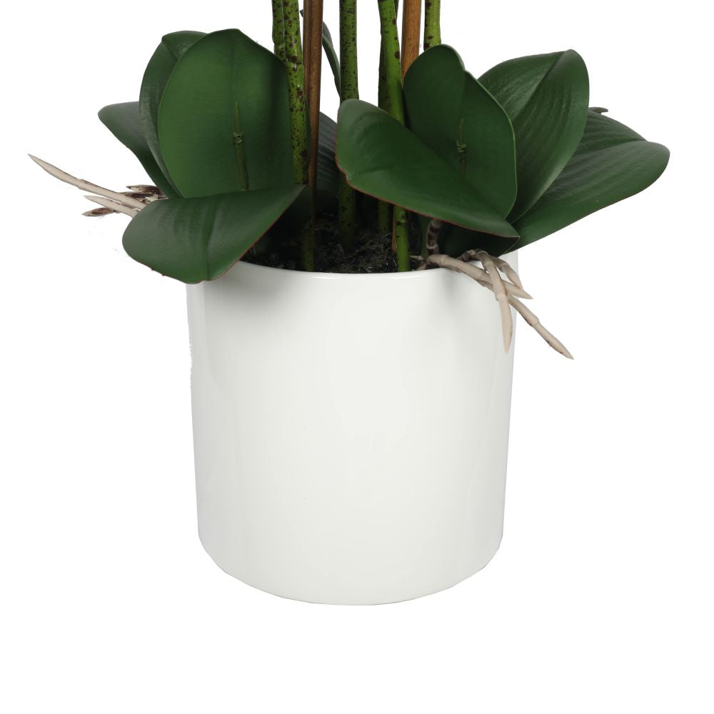 Large Multi-Stem White Potted Faux Orchid 65cm-Home &amp; Garden &gt; Artificial Plants-PEROZ Accessories