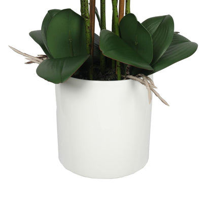 Large Multi-Stem White Potted Faux Orchid 65cm-Home &amp; Garden &gt; Artificial Plants-PEROZ Accessories