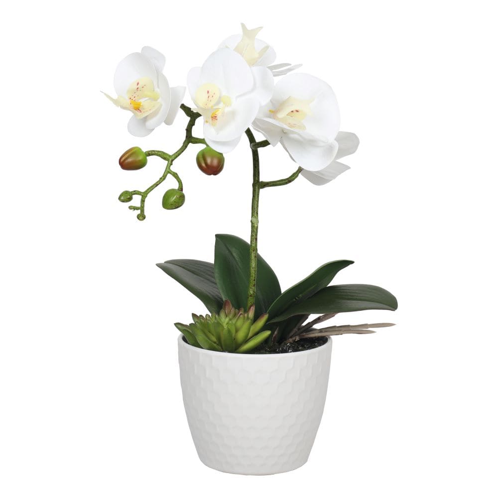 Potted Single Stem White Phalaenopsis Orchid with Decorative Pot 35cm-Home &amp; Garden &gt; Artificial Plants-PEROZ Accessories