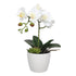 Potted Single Stem White Phalaenopsis Orchid with Decorative Pot 35cm-Home & Garden > Artificial Plants-PEROZ Accessories