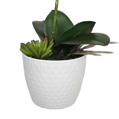 Potted Single Stem White Phalaenopsis Orchid with Decorative Pot 35cm-Home &amp; Garden &gt; Artificial Plants-PEROZ Accessories
