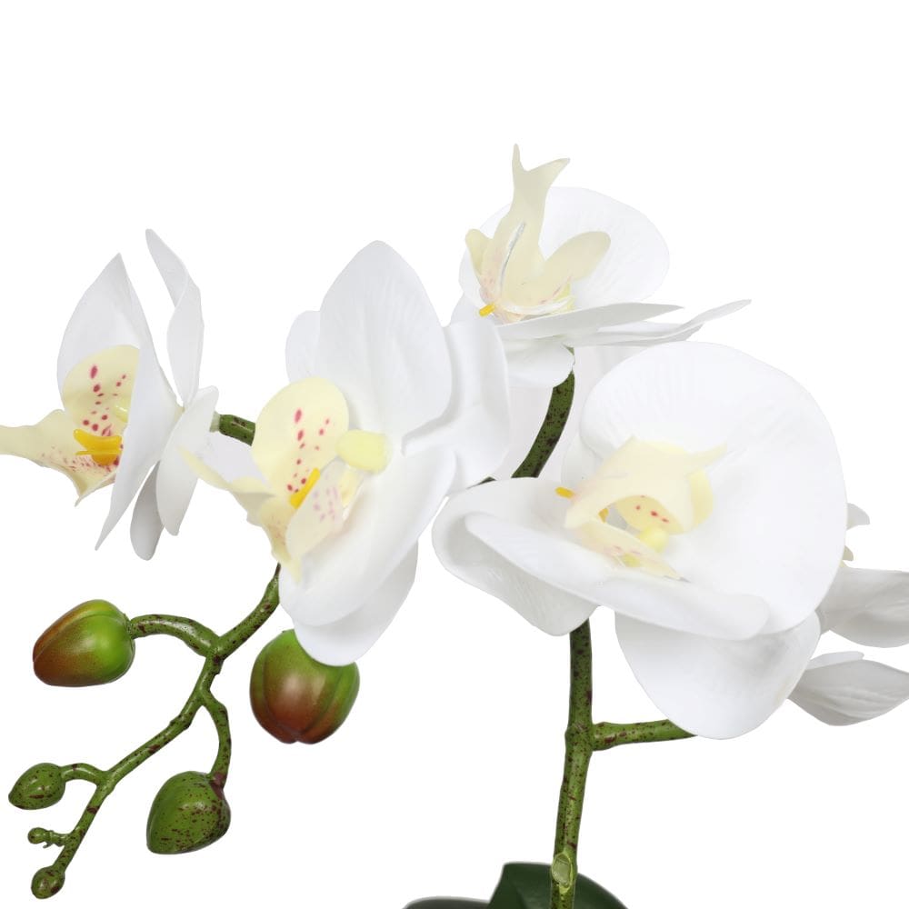 Potted Single Stem White Phalaenopsis Orchid with Decorative Pot 35cm-Home &amp; Garden &gt; Artificial Plants-PEROZ Accessories