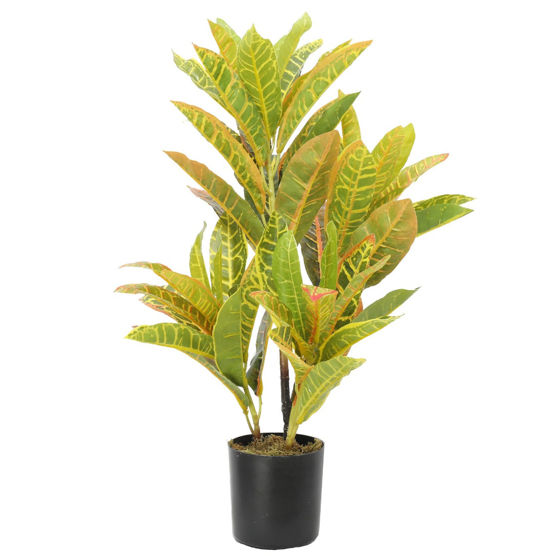 Artificial Potted Flaming Zebra (Codiaeum variegatum / crotons) 55cm-Home &amp; Garden &gt; Artificial Plants-PEROZ Accessories