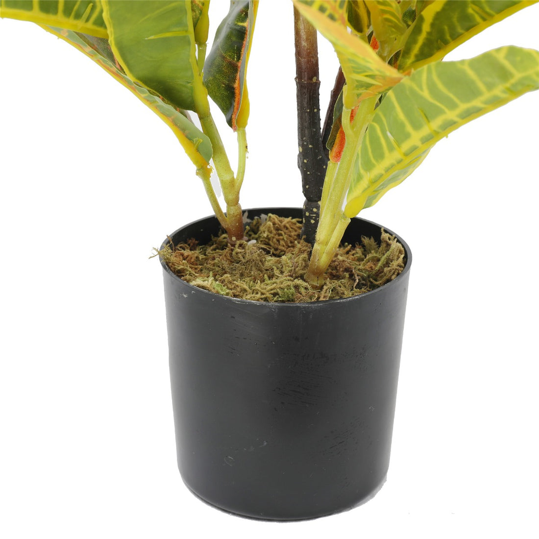 Artificial Potted Flaming Zebra (Codiaeum variegatum / crotons) 55cm-Home &amp; Garden &gt; Artificial Plants-PEROZ Accessories