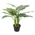 Artificial Potted Taro Plant / Elephant Ear 70cm-Home & Garden > Artificial Plants-PEROZ Accessories
