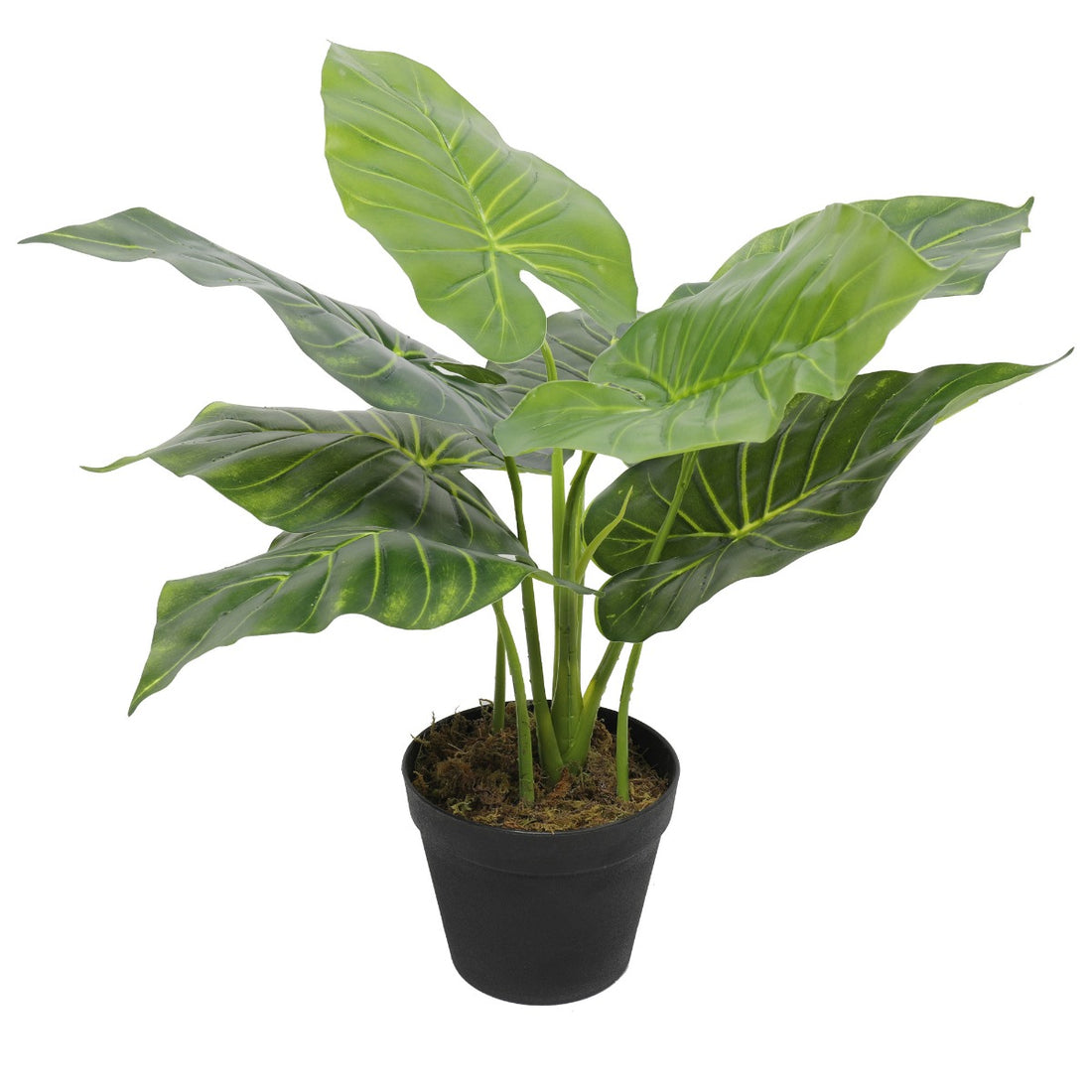 Artificial Potted Taro Plant / Elephant Ear 55cm-Home &amp; Garden &gt; Artificial Plants-PEROZ Accessories