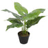 Artificial Potted Taro Plant / Elephant Ear 55cm-Home & Garden > Artificial Plants-PEROZ Accessories