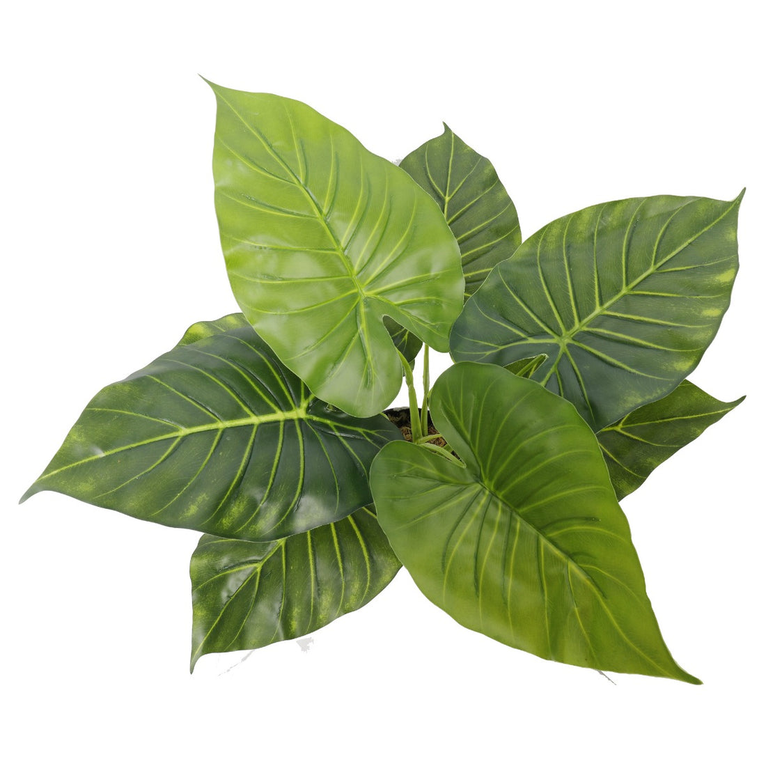 Artificial Potted Taro Plant / Elephant Ear 55cm-Home &amp; Garden &gt; Artificial Plants-PEROZ Accessories