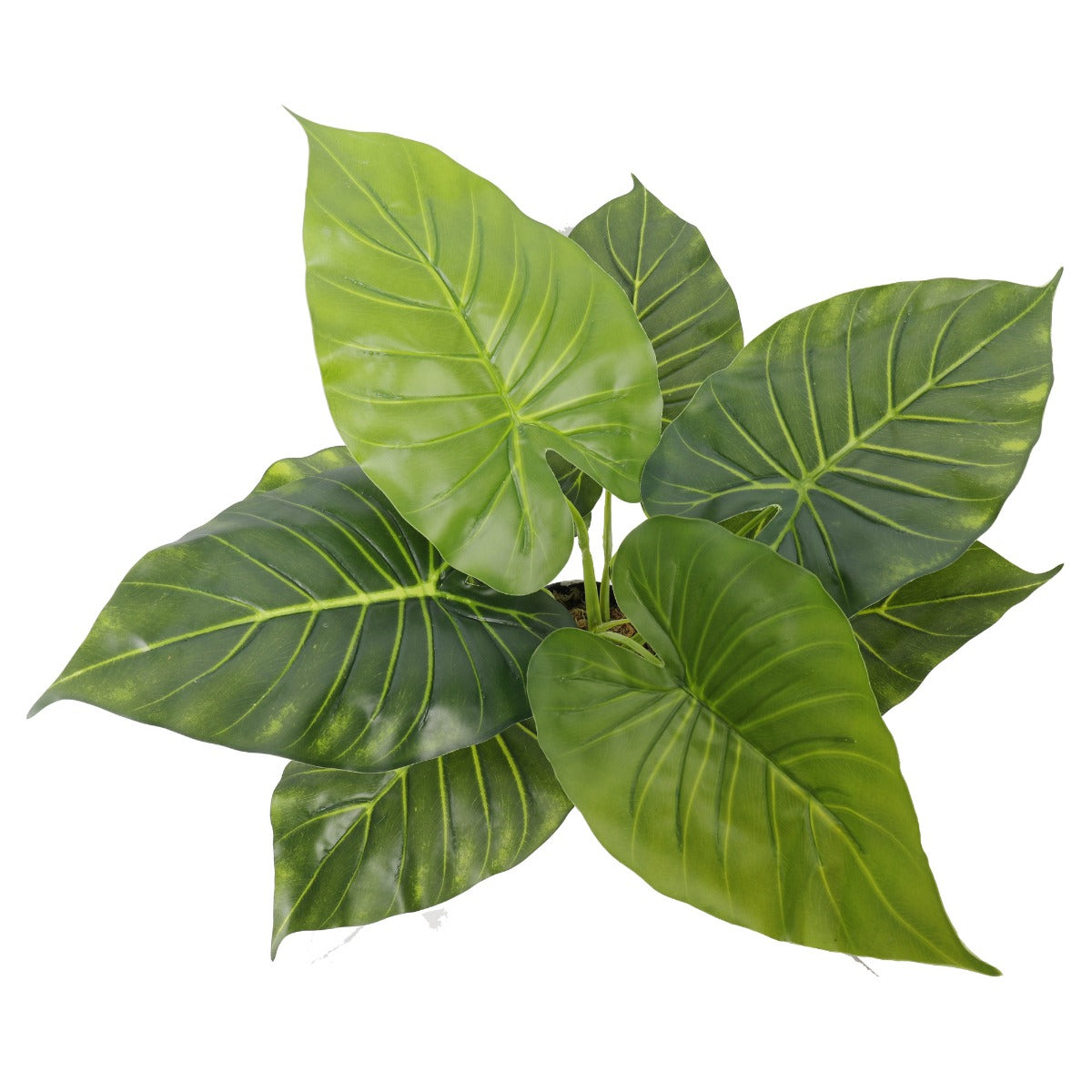 Artificial Potted Taro Plant / Elephant Ear 55cm-Home &amp; Garden &gt; Artificial Plants-PEROZ Accessories