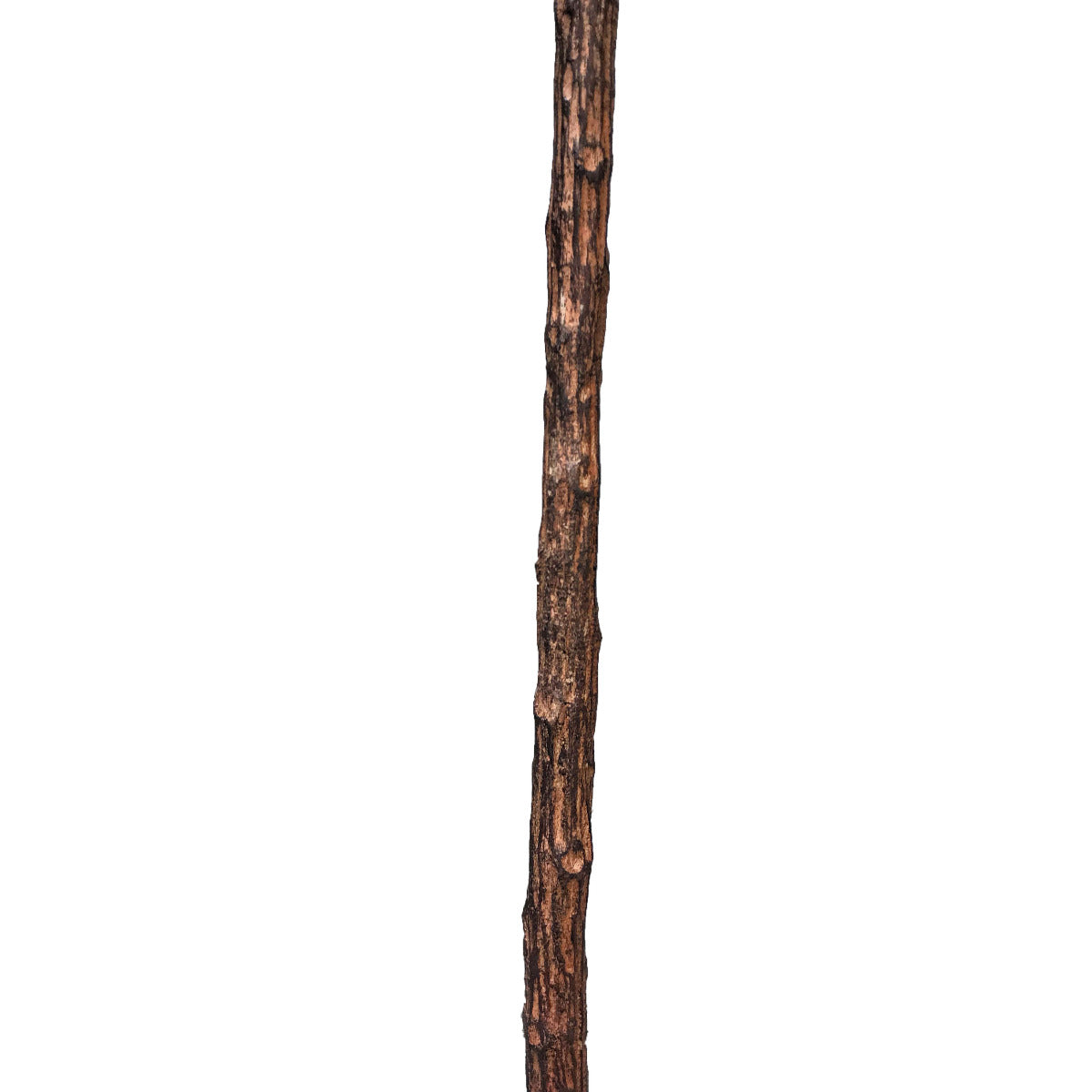 Tall Artificial Fiddle Leaf Fig 170cm-Home &amp; Garden &gt; Artificial Plants-PEROZ Accessories