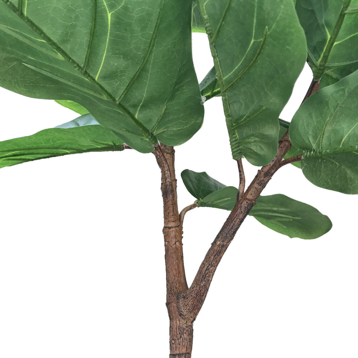 Tall Artificial Fiddle Leaf Fig 170cm-Home &amp; Garden &gt; Artificial Plants-PEROZ Accessories
