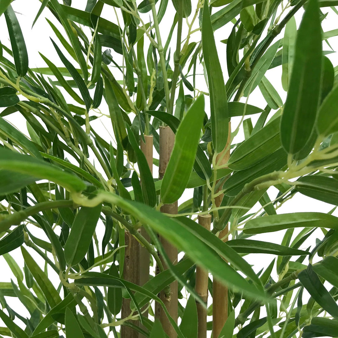 Natural Bamboo Trunk (Real Touch Leaves) 150cm-Home &amp; Garden &gt; Artificial Plants-PEROZ Accessories