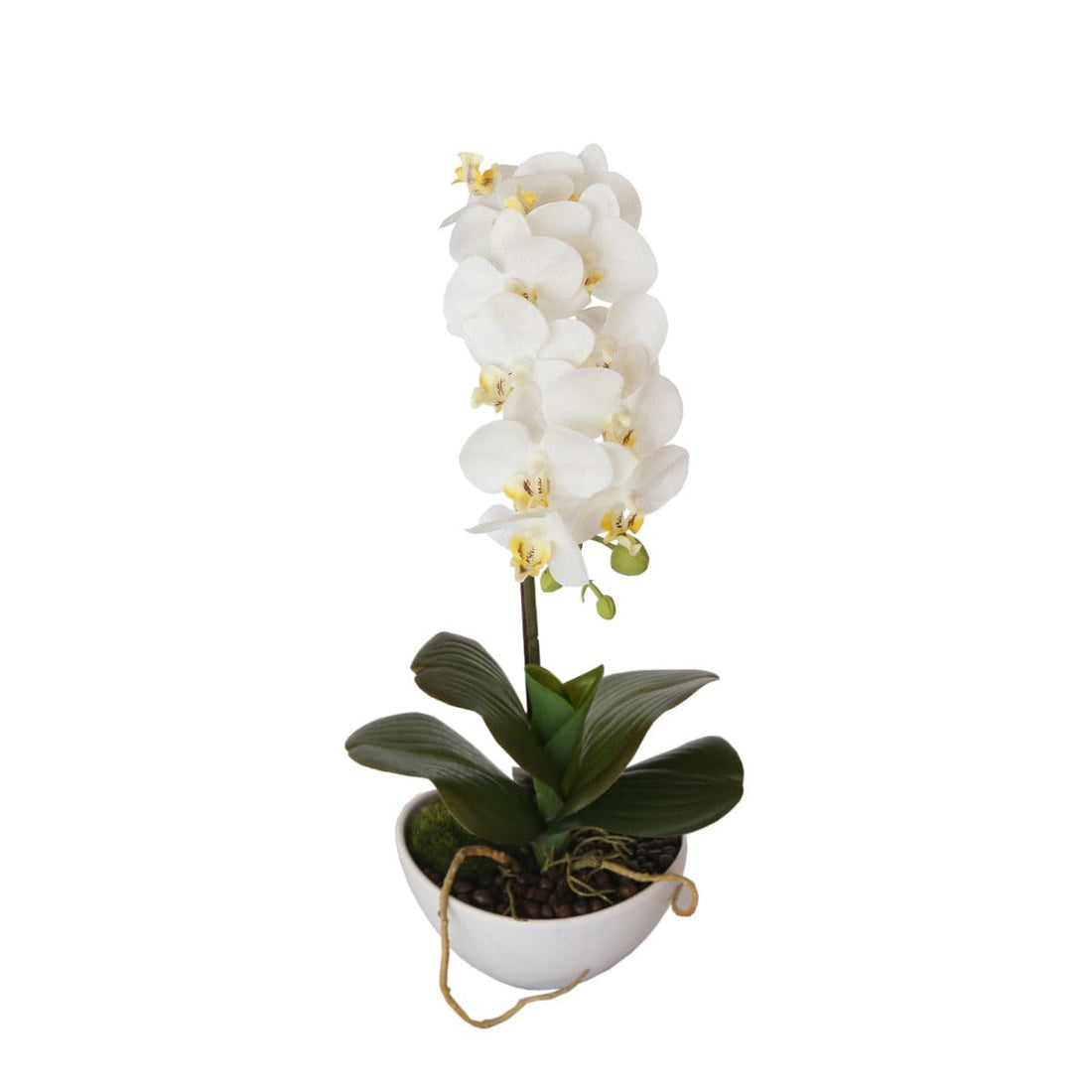 46cm Butterfly Orchid - White-Home &amp; Garden &gt; Artificial Plants-PEROZ Accessories