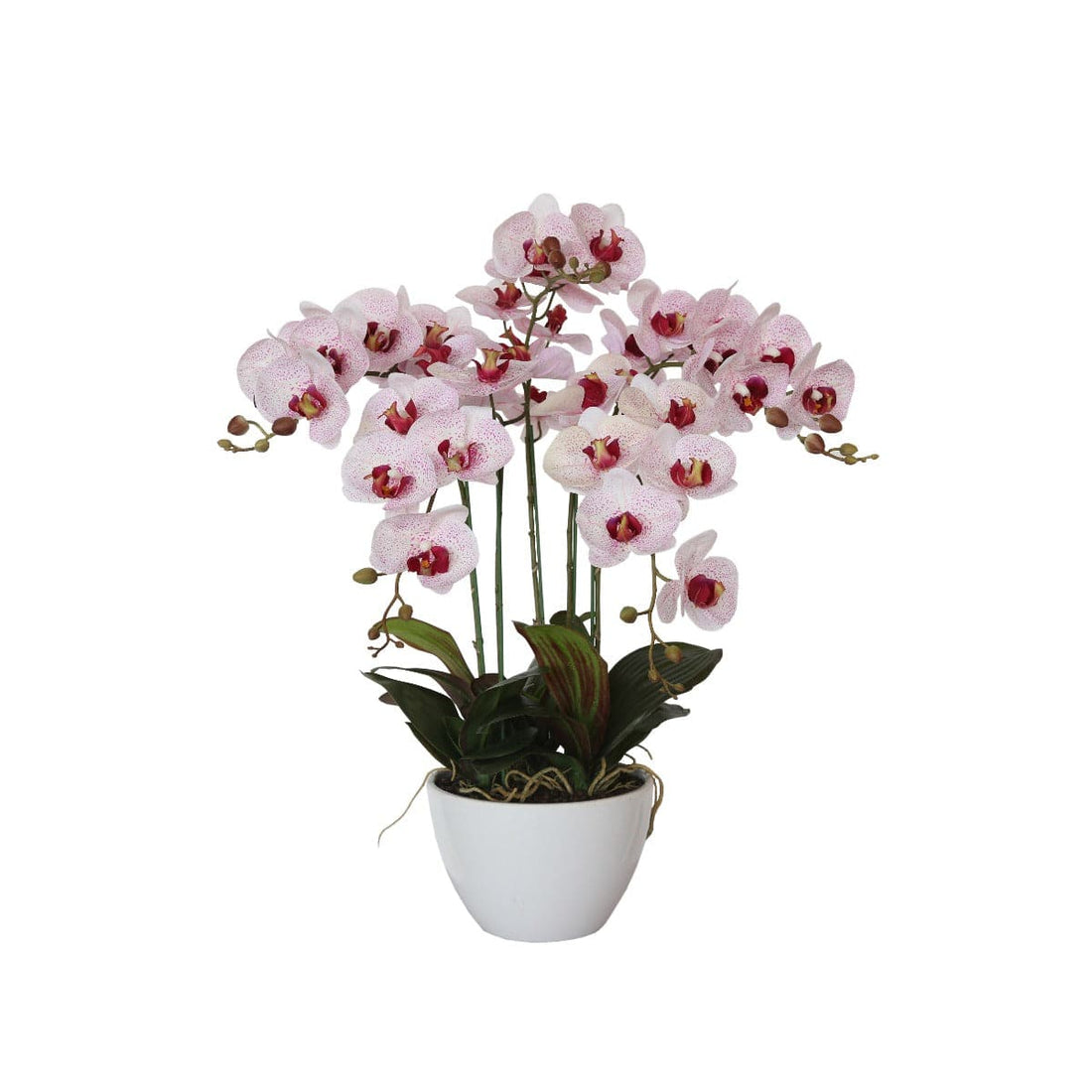 66cm Multi Butterfly Orchid - Pink-Home &amp; Garden &gt; Artificial Plants-PEROZ Accessories