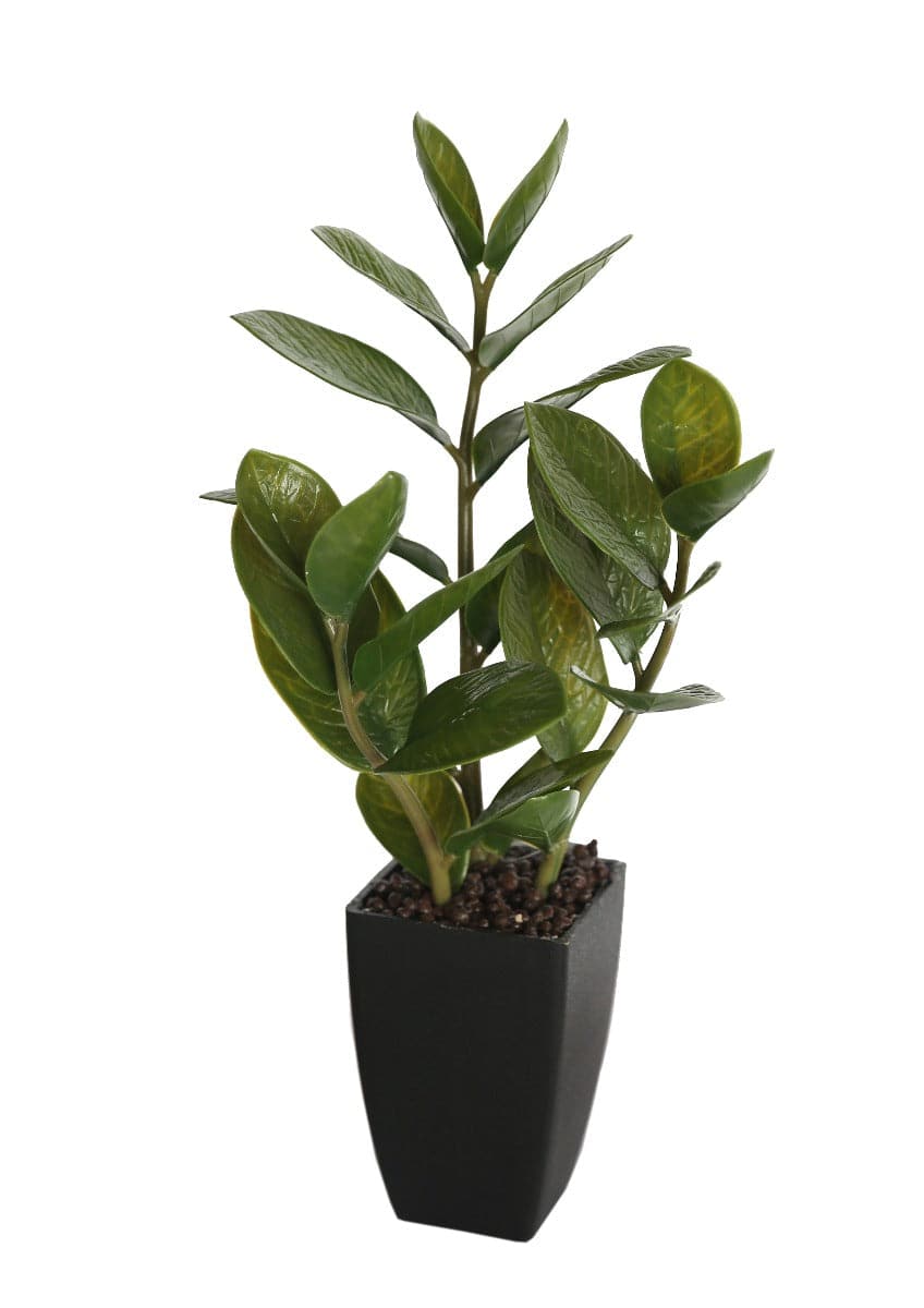 46cm Potted Zanzibar-Home &amp; Garden &gt; Artificial Plants-PEROZ Accessories