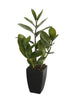 46cm Potted Zanzibar-Home & Garden > Artificial Plants-PEROZ Accessories