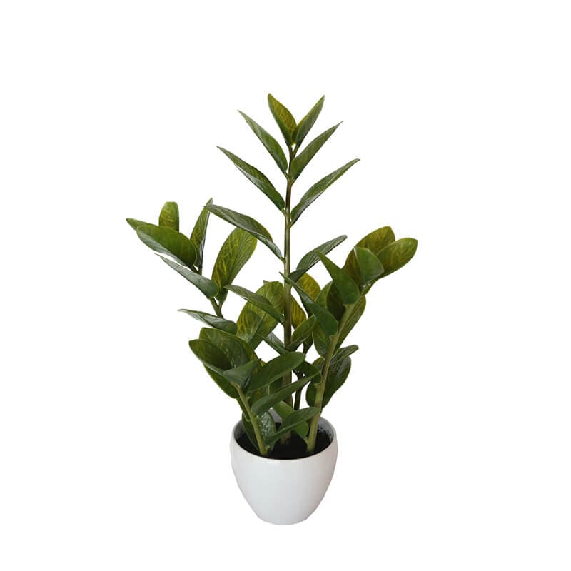 60cm Potted Zanzibar-Home &amp; Garden &gt; Artificial Plants-PEROZ Accessories