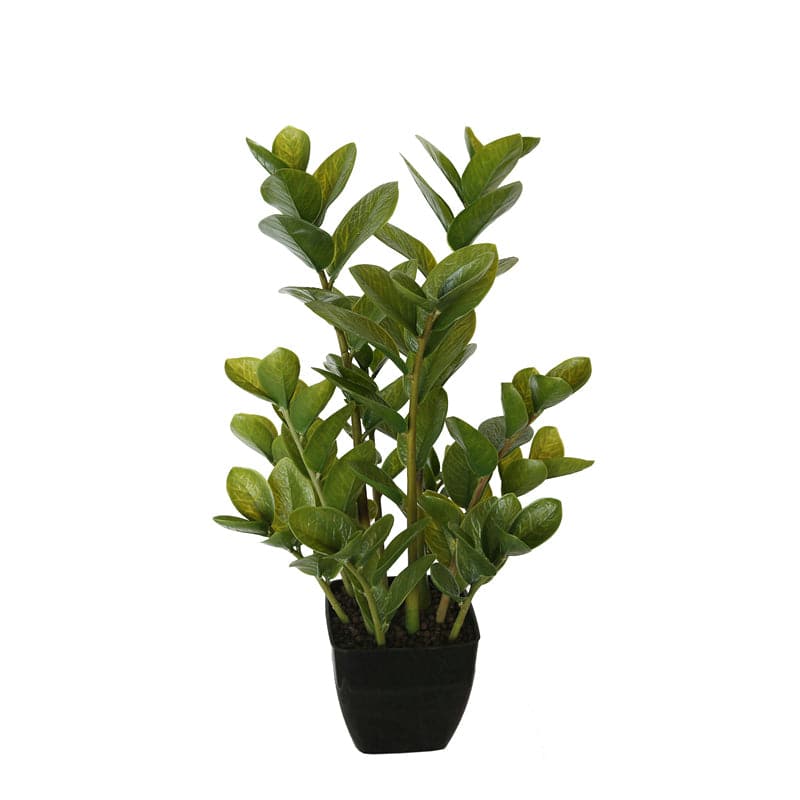 72cm Potted Multi Stem Zanzibar-Home &amp; Garden &gt; Artificial Plants-PEROZ Accessories