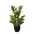 72cm Potted Multi Stem Zanzibar-Home & Garden > Artificial Plants-PEROZ Accessories