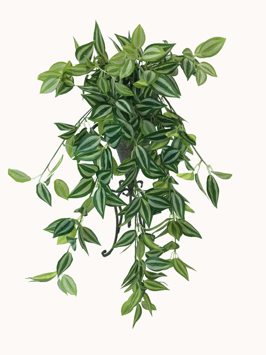 Mixed White and Green Hanging Philodendron Bush 80cm-Home &amp; Garden &gt; Artificial Plants-PEROZ Accessories