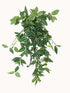 Mixed White and Green Hanging Philodendron Bush 80cm-Home & Garden > Artificial Plants-PEROZ Accessories