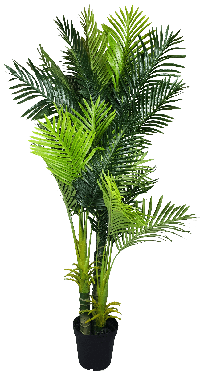 Multi Trunk Hawaii Palm 180cm-Home &amp; Garden &gt; Artificial Plants-PEROZ Accessories